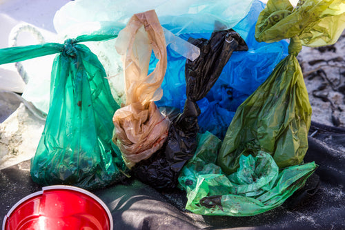 Poop Bag Myth Unraveled: Are Biodegradable Poop Bags Really Eco-Friendly?