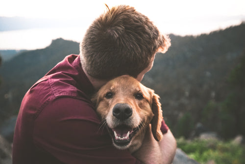 Breed-Specific: Understanding Your Furry Friend