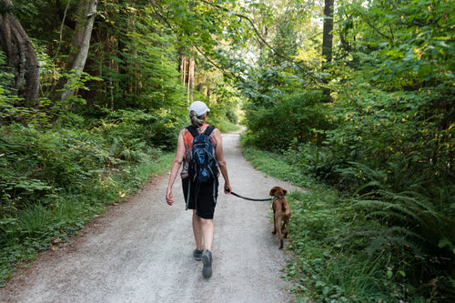 Your Guide to Canine Body Language and Socialization Skills