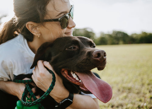 5 Things All Dog Owners Should Know