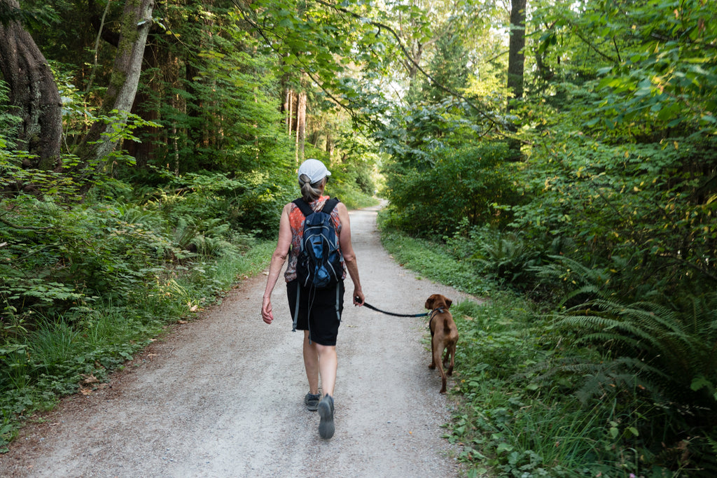 Your Guide to Canine Body Language and Socialization Skills