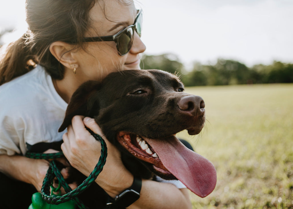 5 Things All Dog Owners Should Know